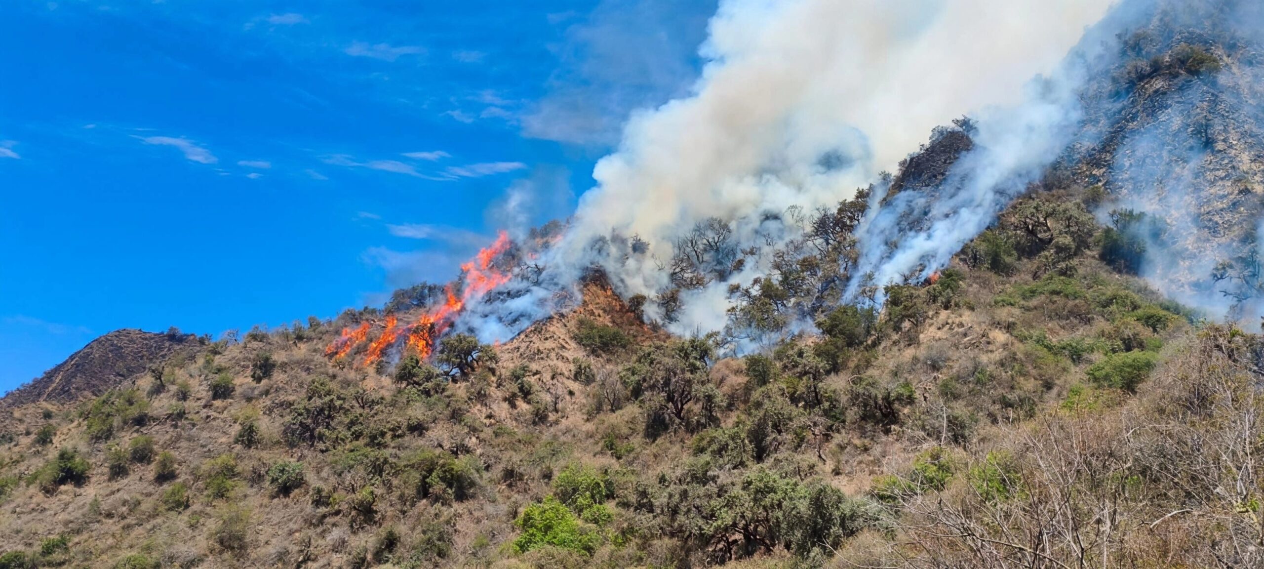 Incendio en Phajcha movilizó a 70 personas y mantiene vigilancia sobre nuevo foco de calor en Quillacollo